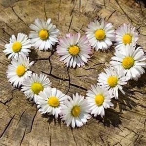 Fundraising Page: The Wild Wild West End